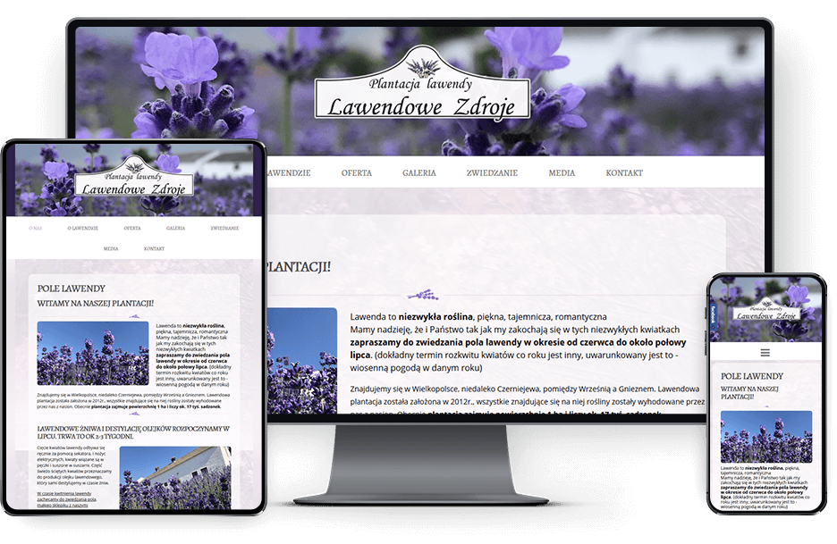 Strona internetowa pola lawendy