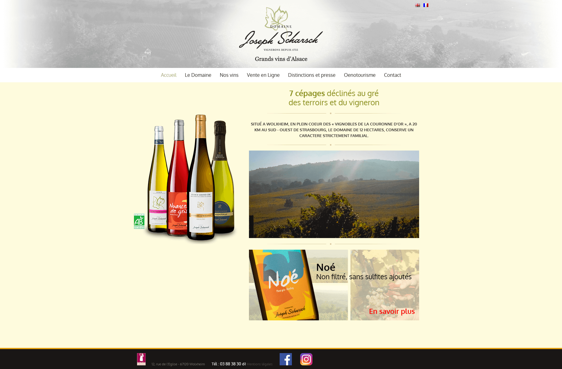 Sklep internetowy producenta win